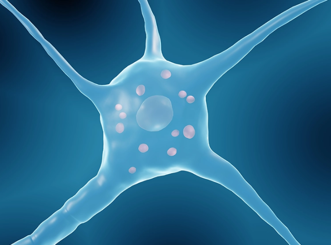 Blue neuron associated with Parkinson's Blue neuron associated with Parkinson's