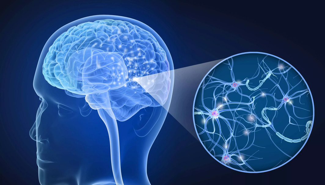 Imagem em 3D das conexões cerebrais. Imagem em 3D das conexões cerebrais.