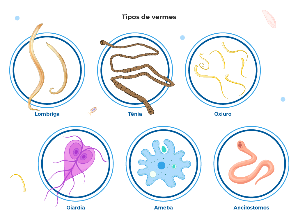 A imagem mostra diferentes tipos de vermes e parasitas, incluindo lombriga, tênia, oxiuro, giardia, ameba e ancilóstomos, todos causadores de infecções intestinais. Esses parasitas podem estar associados a condições como verminose e diarreia. A imagem mostra diferentes tipos de vermes e parasitas, incluindo lombriga, tênia, oxiuro, giardia, ameba e ancilóstomos, todos causadores de infecções intestinais. Esses parasitas podem estar associados a condições como verminose e diarreia.