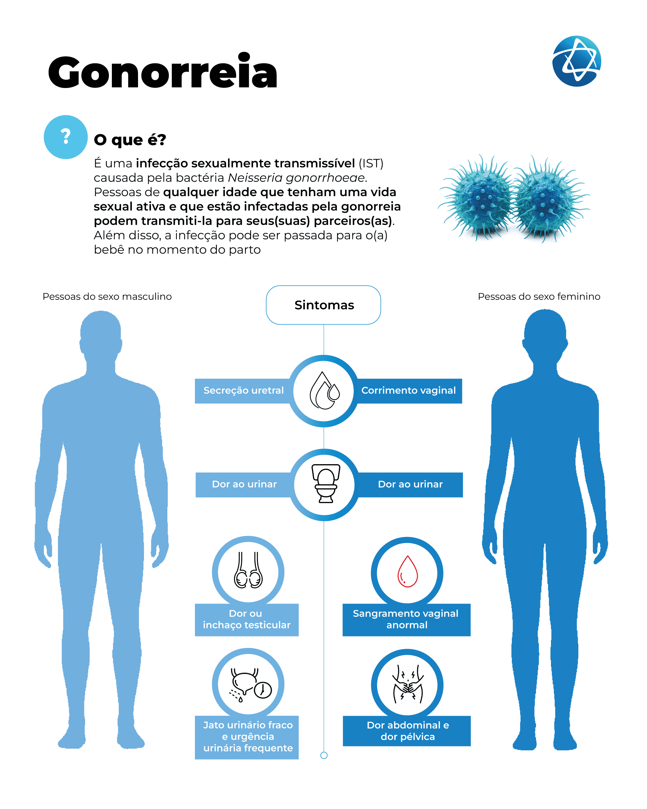Infográfico sobre gonorreia (Blenorragia ou uretrite gonocócica) explicando o que é a IST, formas de transmissão e sintomas em pessoas do sexo masculino e feminino, como secreção uretral, corrimento vaginal, dor ao urinar, dor testicular e dor pélvica. Infográfico sobre gonorreia (Blenorragia ou uretrite gonocócica) explicando o que é a IST, formas de transmissão e sintomas em pessoas do sexo masculino e feminino, como secreção uretral, corrimento vaginal, dor ao urinar, dor testicular e dor pélvica.