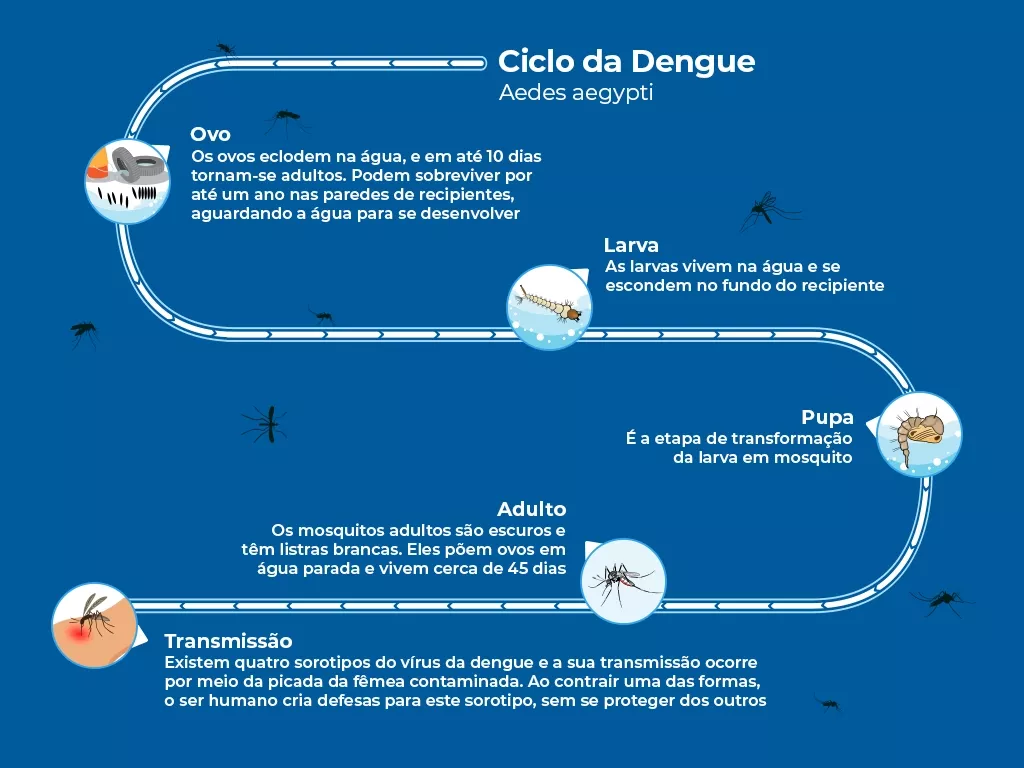 Dengue: Sintomas, Causas e Tratamentos