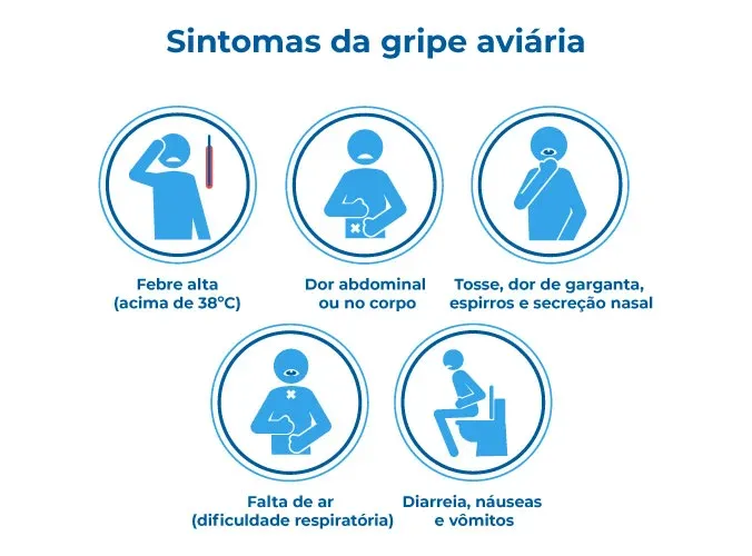 Gripe aviária: Sintomas, Causas e Tratamentos